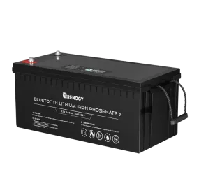 Renogy RBT200LFP12-BT-US 200Ah 12V Lithium Iron Phosphate Battery with Built-in Bluetooth New