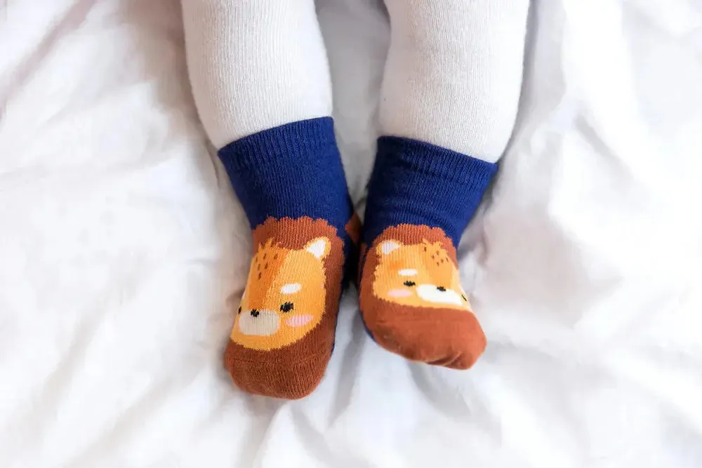 Zoo Socks